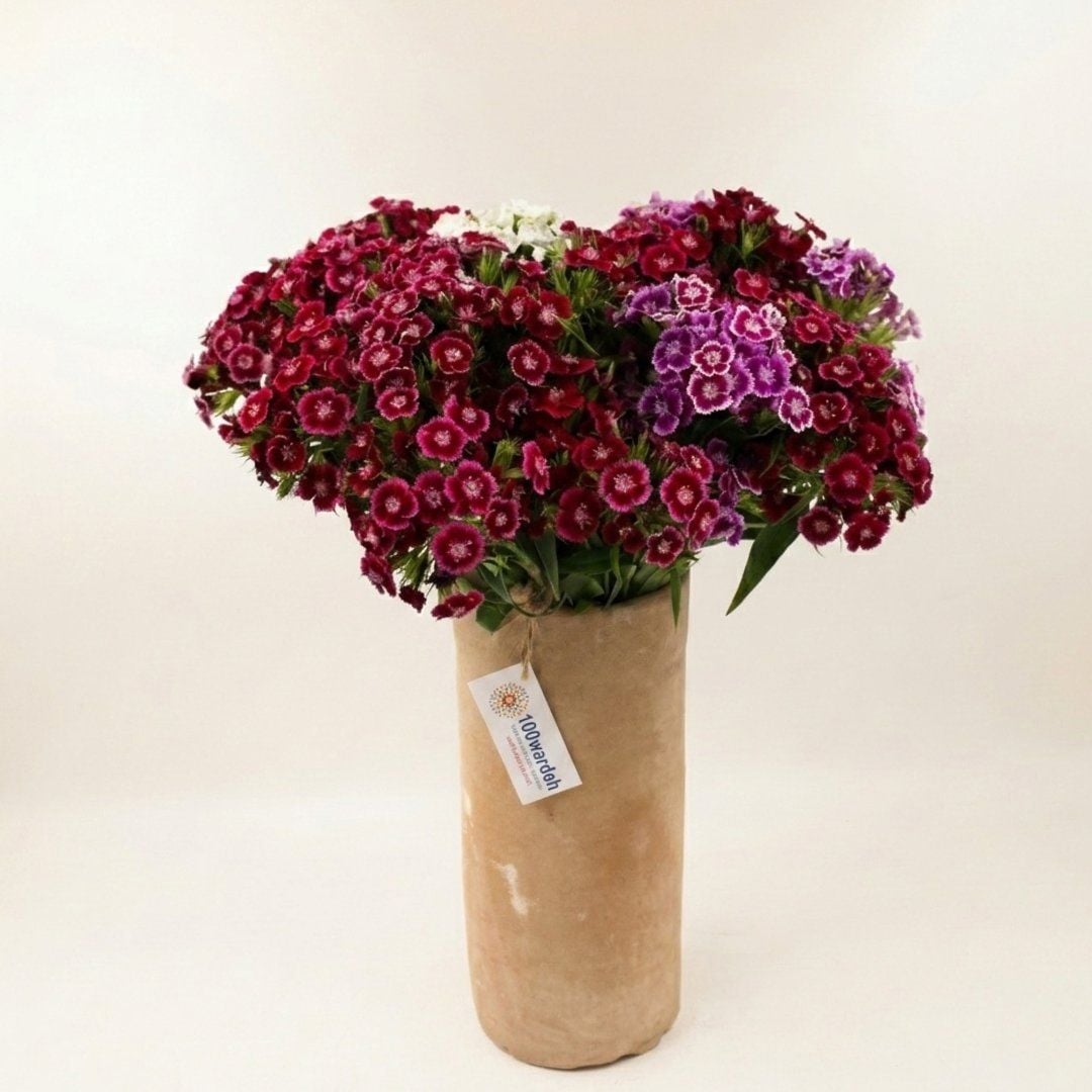 Crimson & Amethyst Chinese Carnation Bouquet