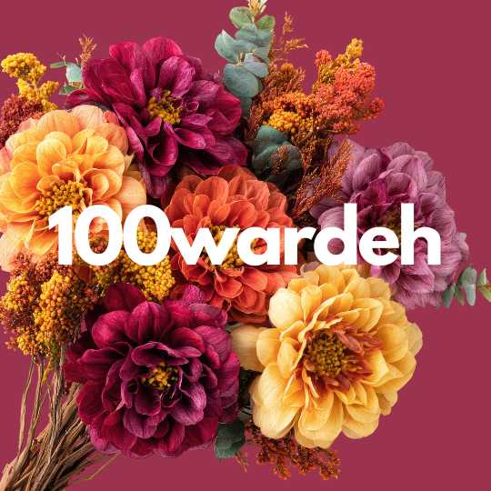 100wardeh logo
