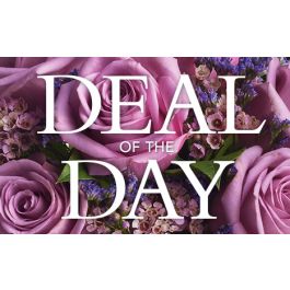 Deal of the day – Lifestyle Decor