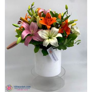 Colorful Lilies in a Box
