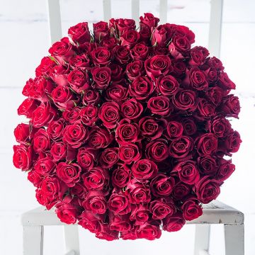 meet wardeh مية وردة100  roses flowers jordan amman