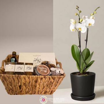 Adha Basket dates+ Orchid plant
