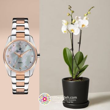 Orchid Plant+B.H Polo Club Watch