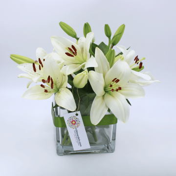 lilies in square vase amman jordan 