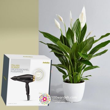 Spathiphyllum Plant + Hair dryer (Babyliss)