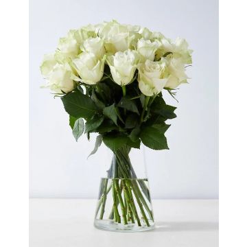 white Roses delivery