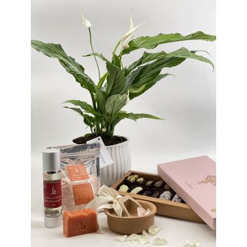 Mother's day special package (Peace liliy)