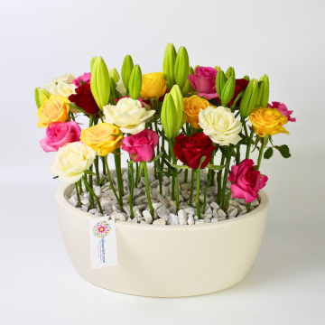 Luxury Roses & Lilies in White Pot