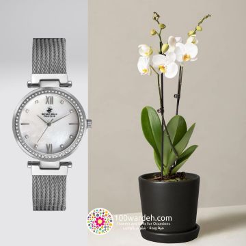 Orchid Plant+B.H Polo Club Watch (B.H. POLO CLUB ALICIA SILVER ST.STEEL)