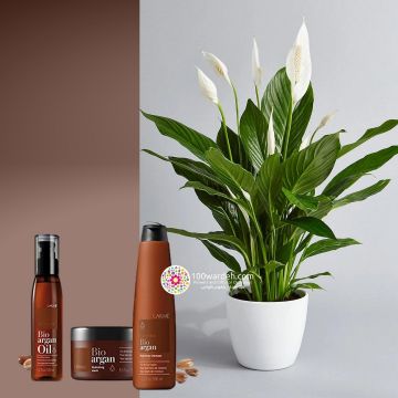 hair products + peace lilies plant