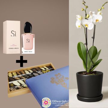 Orchid Plant+1 Kg Delightful Dates & Chocolate Mix+G&A Perfume Si