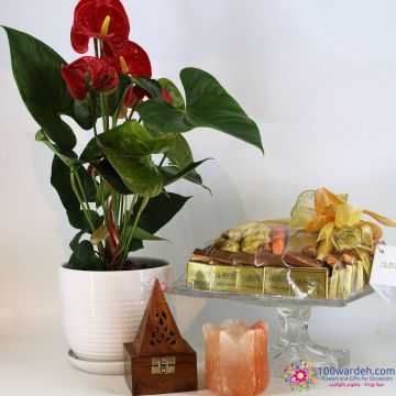 Anthurium Plant & Dara Package & Chocolates Assortment 