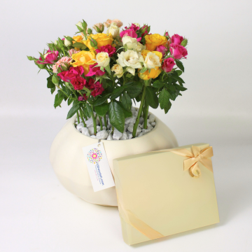 Roses delivered in Amman Jordan with chocolate 