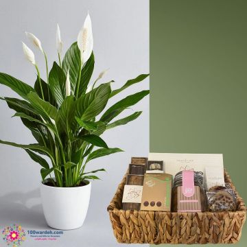 Delight Dates & cookies basket + Spathiphyllum plant