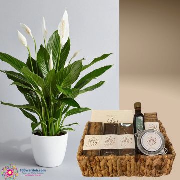 Delight Dates & Biscuits basket + Spathiphyllum plant