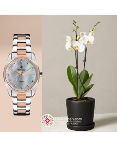 Orchid Plant+B.H Polo Club Watch