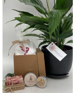 plant and skin care package amman jordan gifts