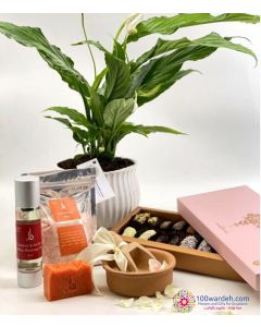 Mother's day special package (Peace liliy)