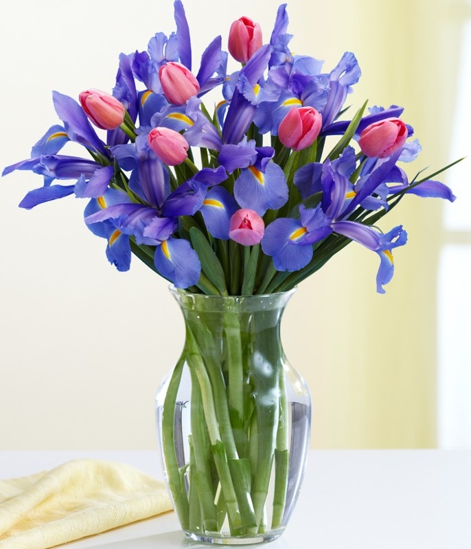 Pink Tulips & Blue Iris