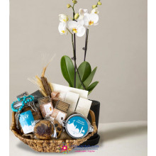 Ramadan Dates & cookies basket + Orchid plant